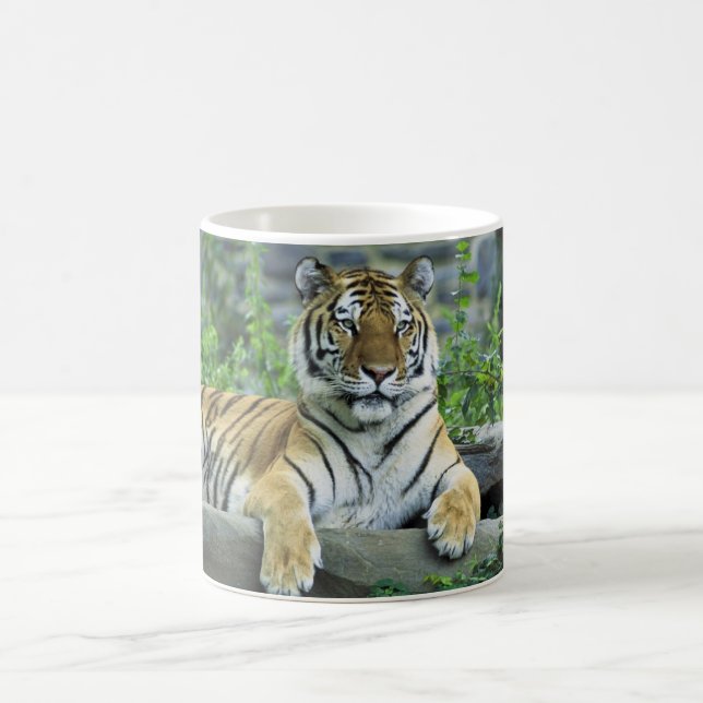 Caneca De Café Tigre, Siberian (Centro)