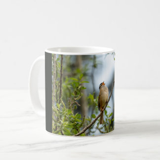 Caneca De Café Tiziu – Fotografia de Aves de Arte Refinado