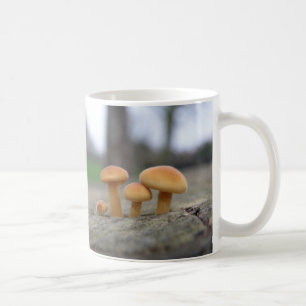 Caneca De Café Toadstools Macro Mug