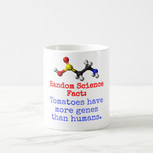 Caneca De Café Tomates têm mais genes - Fato científico