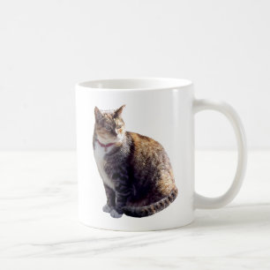 Caneca De Café Tortoisinferno Cat