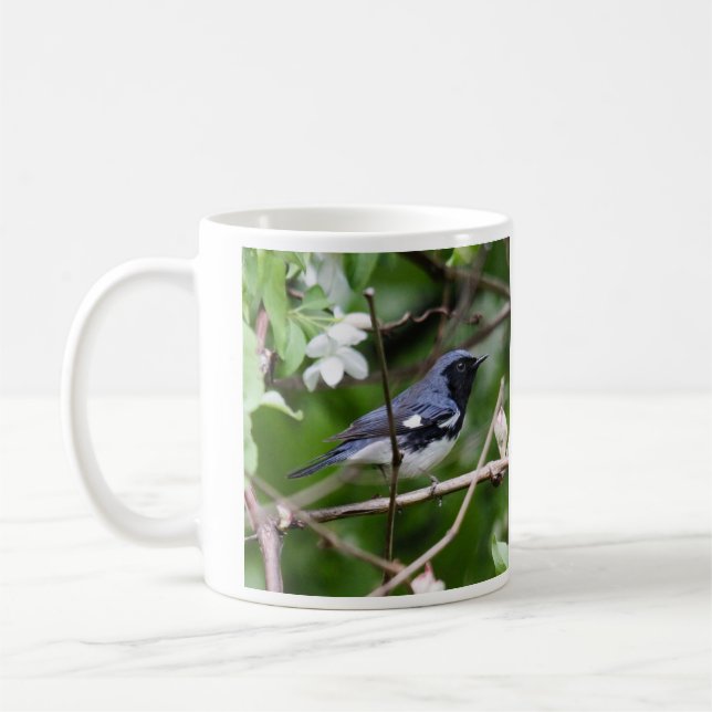 Caneca De Café toutinegra azul Preto-throated (Esquerda)