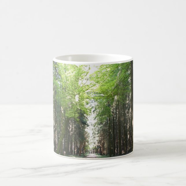 Caneca De Café Trajeto através da floresta (Centro)