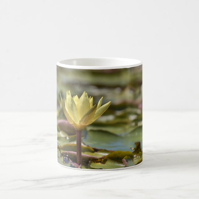 Caneca De Café Tranquil Water Lily Coffee Mug – Nature Photograph (Centro)