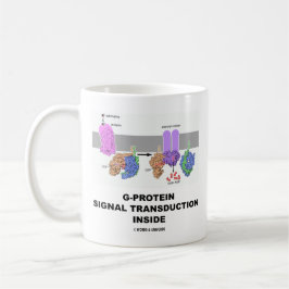 Caneca De Café Transdução do sinal da G-Proteína para dentro