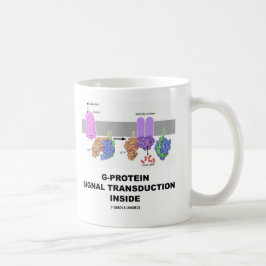 Caneca De Café Transdução do sinal da G-Proteína para dentro