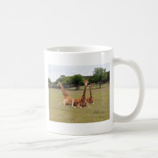 Caneca De Café Três Girafa na Jante Fóssil