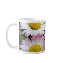 Três margaridas rosa