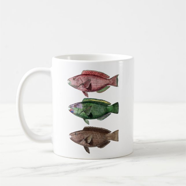 Caneca De Café Três Peixes, Peixe-Papagaio (Esquerda)