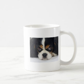 Caneca De Café Tri Cor descuidado do copo de café do Spaniel de