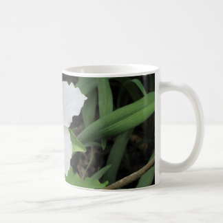 Caneca De Café Trillium