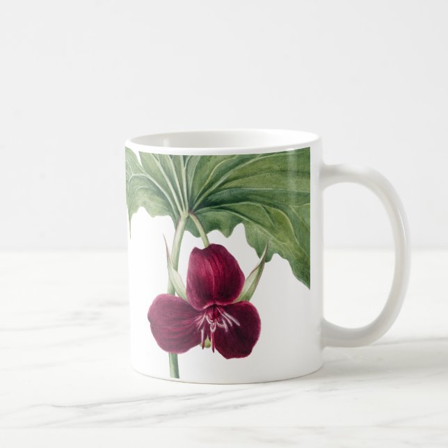 Caneca De Café Trillium Botânico (Direita)