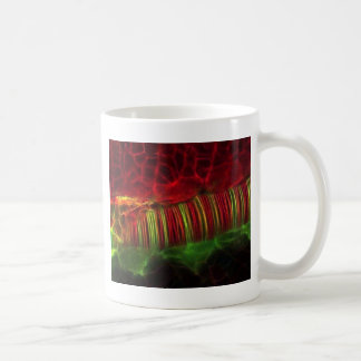 Caneca De Café Tubo Neural
