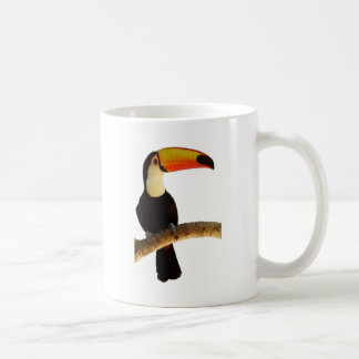 Caneca De Café tucano passaro exótico da fauna brasileira