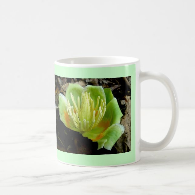 Caneca De Café Tulip Poplar Flower Cup (Direita)