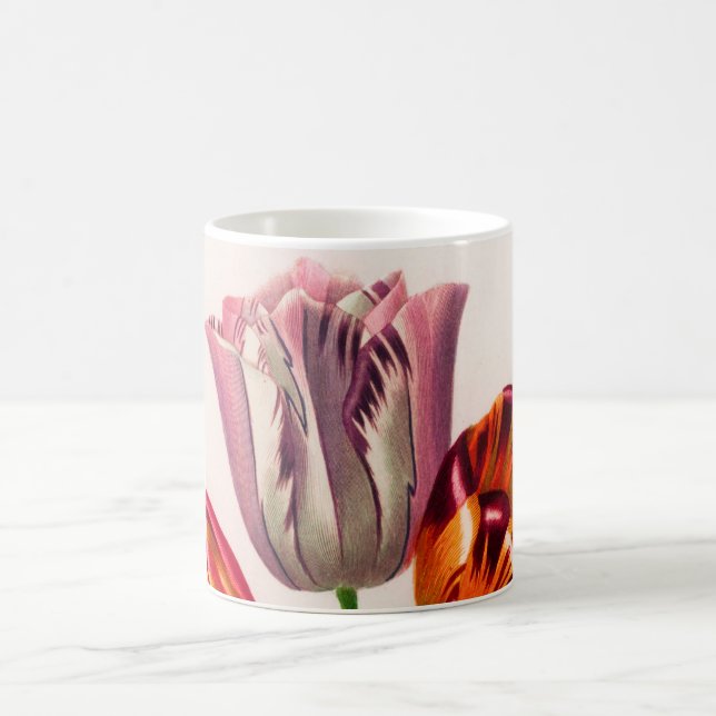 Caneca De Café Tulip vintage ilustrado (Centro)