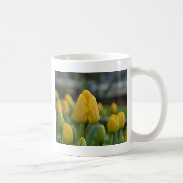 Caneca De Café Tulipas amarelas no campo (Direita)
