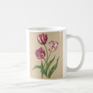 Caneca De Café Tulipas de arte botânica