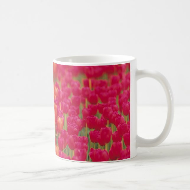 Caneca De Café Tulipas laranja e rosa (Direita)