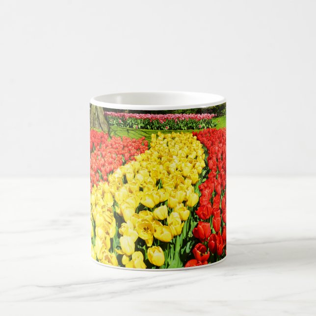 Caneca De Café Tulipas no sol na Holanda (Centro)
