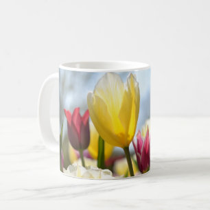 Caneca De Café Tulipas Vermelhas, Amarelas e Rosa no Sol
