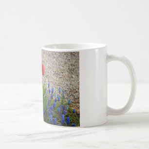 Caneca De Café Tulipas Vermelhas e Amarelas