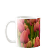 Tulips 11 oz ou 15 oz