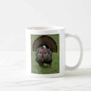 Caneca De Café Turquia