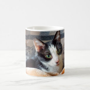 Caneca De Café Tuxedo Cat