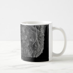 Caneca De Café Um fim acima da ideia de um secção transversal d