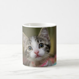 Caneca De Café Um gatinho bonito com olhos verdes
