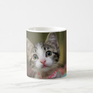 Caneca De Café Um gatinho bonito com olhos verdes