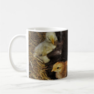 Caneca De Café Um Mama e seus pintinhos