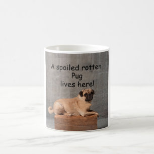 Caneca De Café Um Pug Rotten mimado vive aqui
