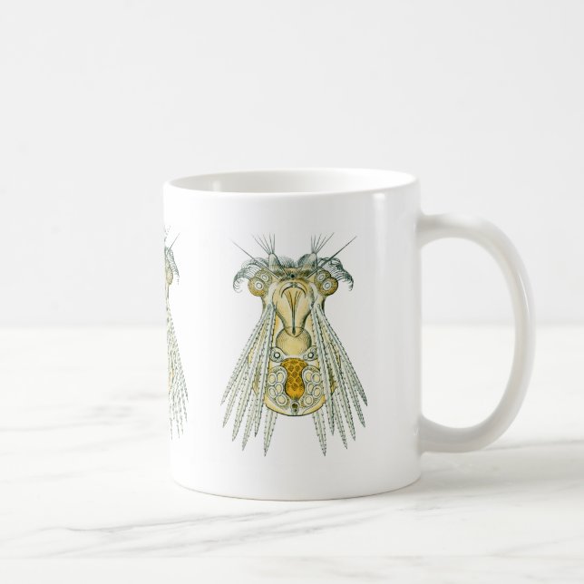 Caneca De Café Um Rotifer (Direita)