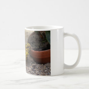 Caneca De Café Uromastyx geyri