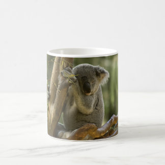 Caneca De Café Urso de Koala sonolento
