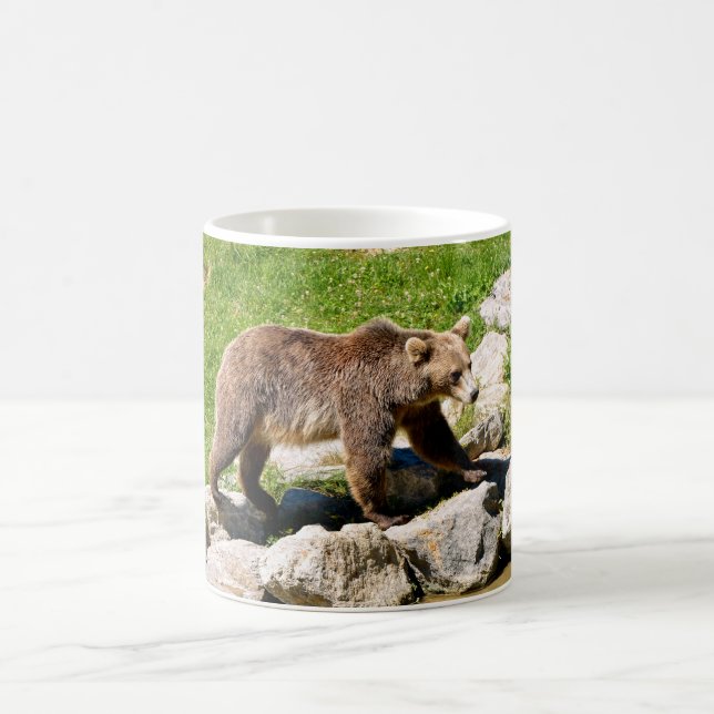 Caneca De Café Urso-marrom (Ursus arctos) visto do perfil (Centro)