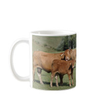 Vaca que lambe sua vitela