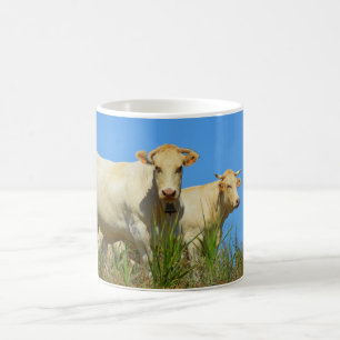 Caneca De Café Vacas em França