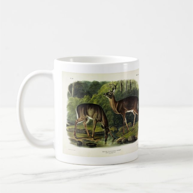 Caneca De Café Veado comum (branco) - Quadrupedes de Audubon (Esquerda)