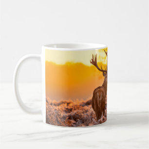 Caneca De Café Veado Vermelho no Sol da Manhã. Veado, animal, vid