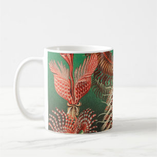 Caneca De Café Vermes, Anelídeos Chaetopoda por Ernst Haeckel