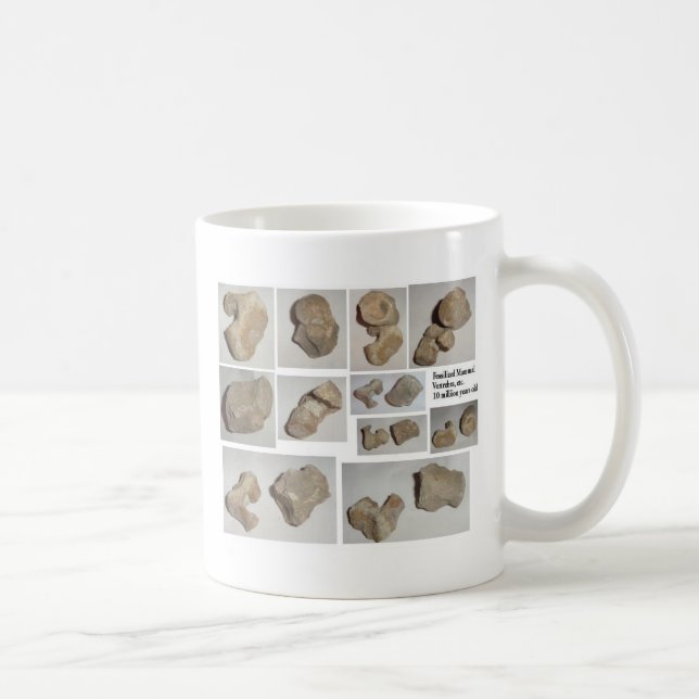 CANECA DE CAFÉ VÉRTEBRA FOSSILIZADA DO MAMÍFERO (Direita)