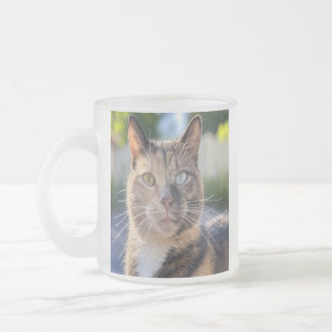 Caneca De Café Vidro Jateado Adicionar Personalização de Foto de Cat