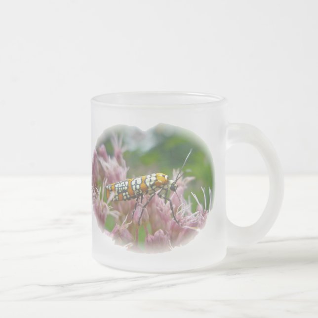 Caneca De Café Vidro Jateado Ailanthus Web Worm Moth em Ironweed (Direita)