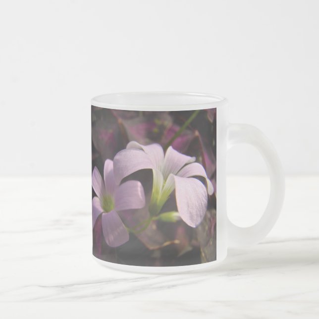 Caneca De Café Vidro Jateado Blossomas Oxalis Roxos (Direita)