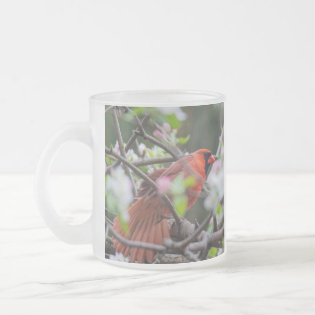 Caneca De Café Vidro Jateado Cardeal masculino em Springtime (Esquerda)