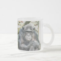 CHIMPANZÉS CUTAS