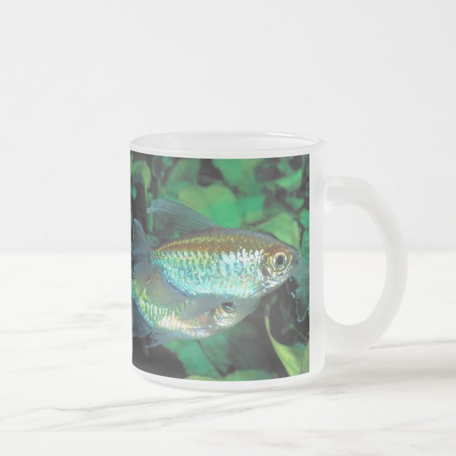 Caneca De Café Vidro Jateado Congo tetra , Phenacogrammus interruptus (Direita)